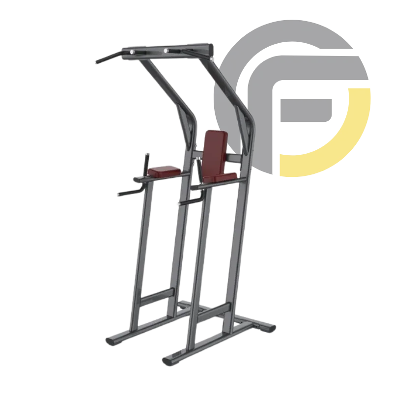 Chin up dip & vertical knees up FMA-L1048